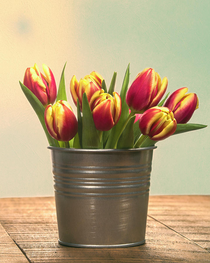 Red and Yellow Tulips in a Can Photograph by John Trax