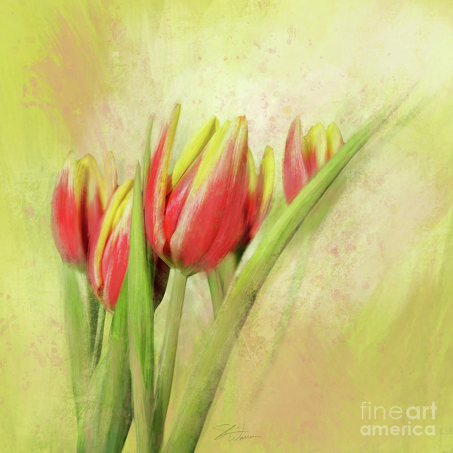 Red and Yellow Tulips Mixed Media by Shari Warren