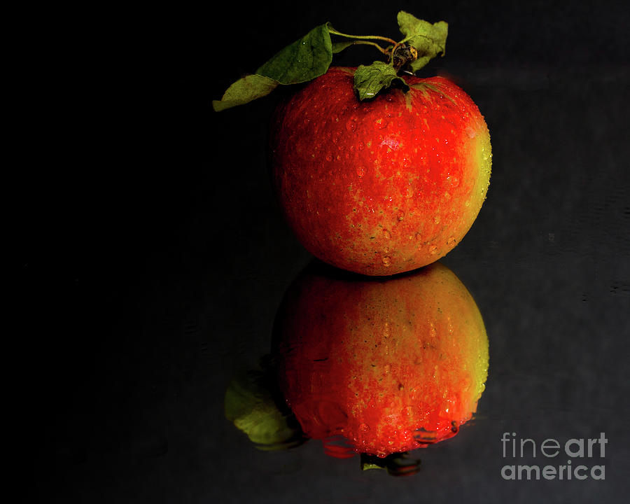Red apple Photograph by Agnes Caruso