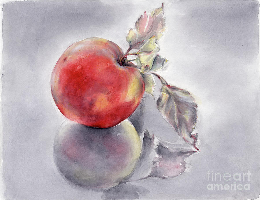 Red Apple And Its Reflection, Hand Painted Watercolor Painting by Adriana Mueller