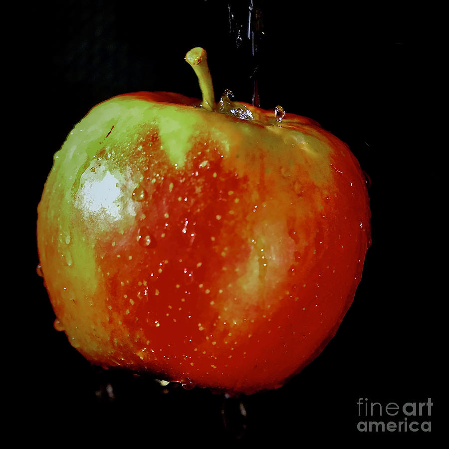 Red Apple Photograph by Elisabeth Derichs