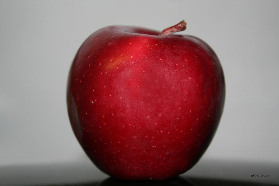 Red Apple Photograph by Linda Sannuti