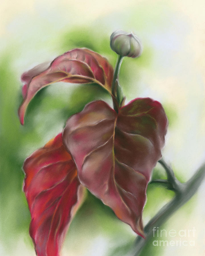 Nature Painting - Red Autumn Dogwood Leaves with Bud by MM Anderson