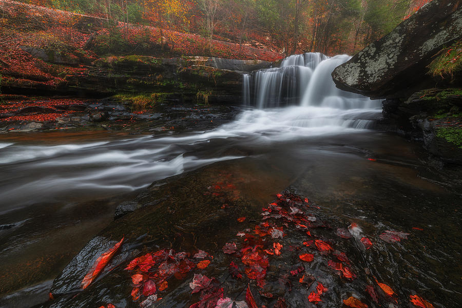 Red Autumn Falls Photograph by Darren White