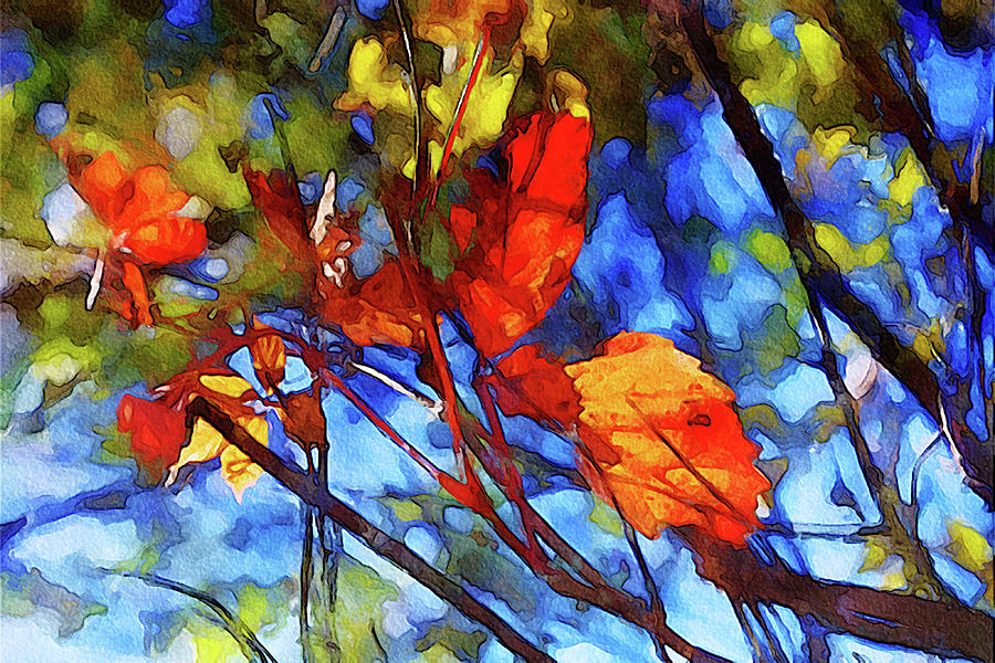 Red autumn leaves Mixed Media by Tatiana Travelways