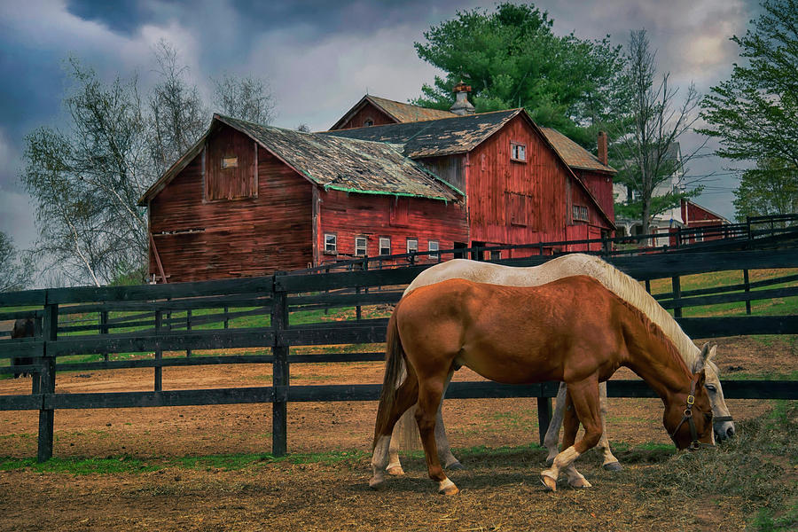 Red Barn Americana Photograph by Joann Vitali