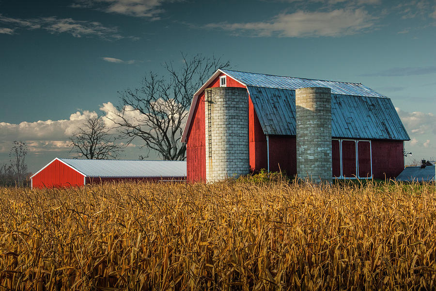 Red Barn and Cornfield in West Michigan on a Sunny Day Photograph by Randall Nyhof