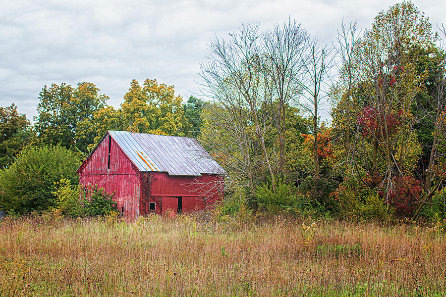 Red Barn and Fall Foliage - Rural Indiana Photograph by Bob Decker