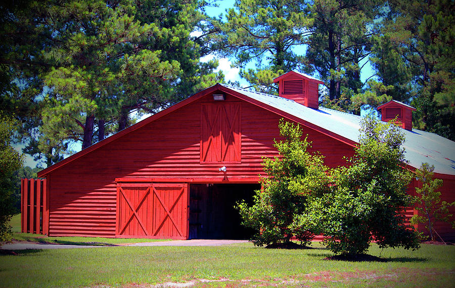 Red Barn And Nature Photograph by Cynthia Guinn