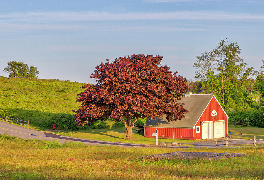 Red Barn and tree at Fort Hill Cape Cod Massachusetts Photograph by Juergen Roth