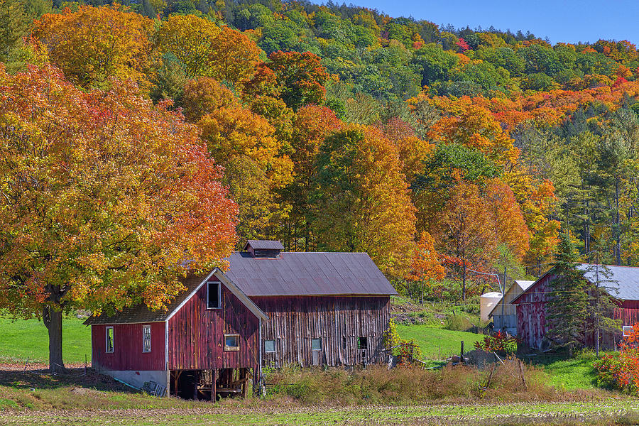 Red barn at DAR Ridge Farm Photograph by Juergen Roth