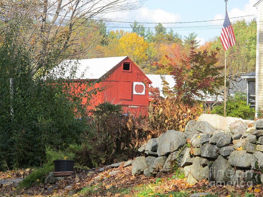 Red barn Photograph by B Rossitto