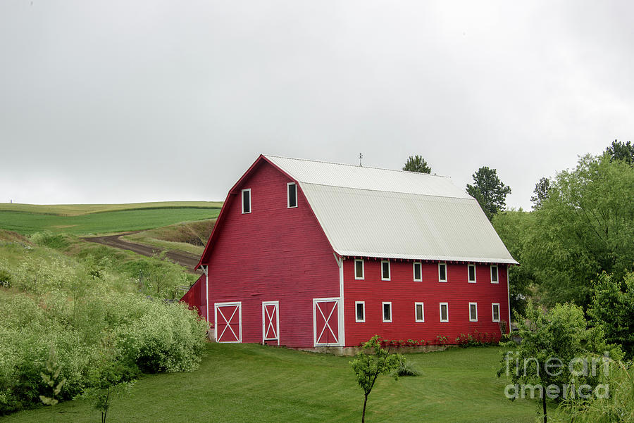 Red Barn Photograph by Daniel Ryan