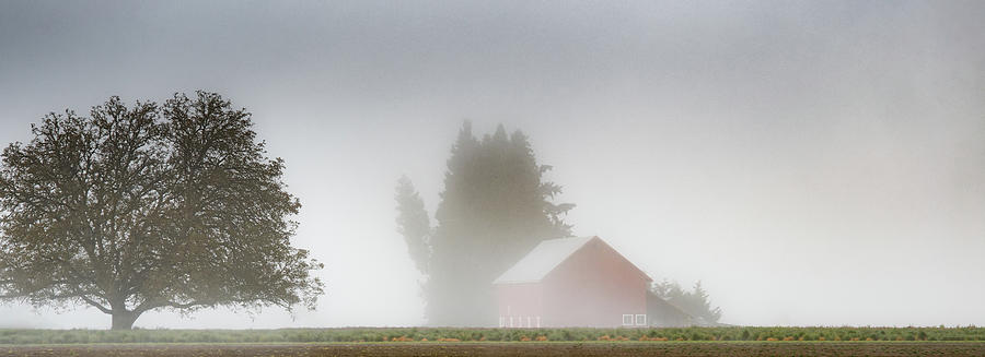 Red Barn Draped in Fog Photograph by Don Schwartz