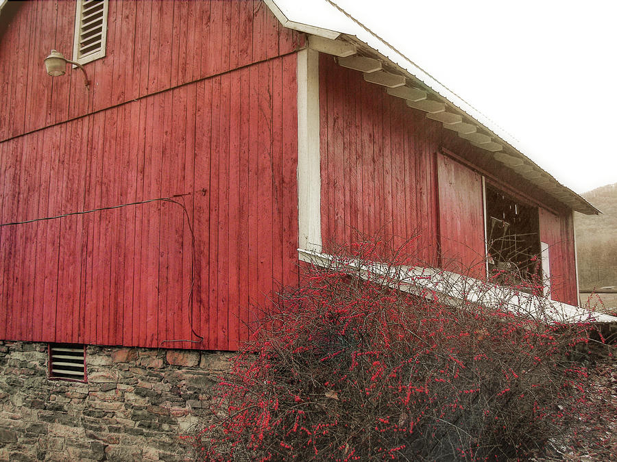 Red Barn Photograph by Dressage Design