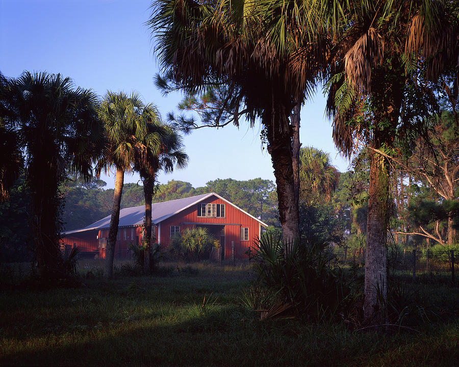 Red barn, Dupuis WMA Florida Photograph by Rudy Umans