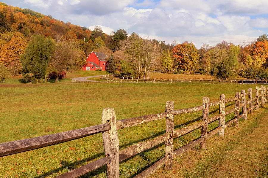 Red Barn Fall Foliage Photograph by Susan Candelario