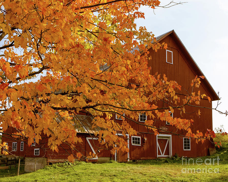 Red Barn Fall in Stowe Vermont Photograph by Edward Fielding