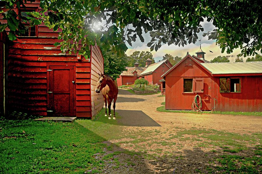 Red Barn Farm Photograph by Diana Angstadt