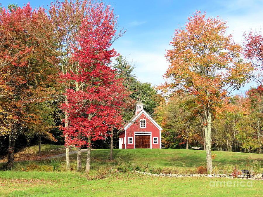 Red Barn Hollis NH in autumn Photograph by Janice Drew