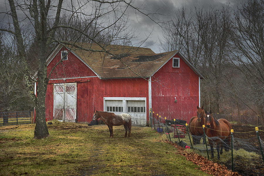 Red Barn, Horses and Rain Photograph by Joann Vitali