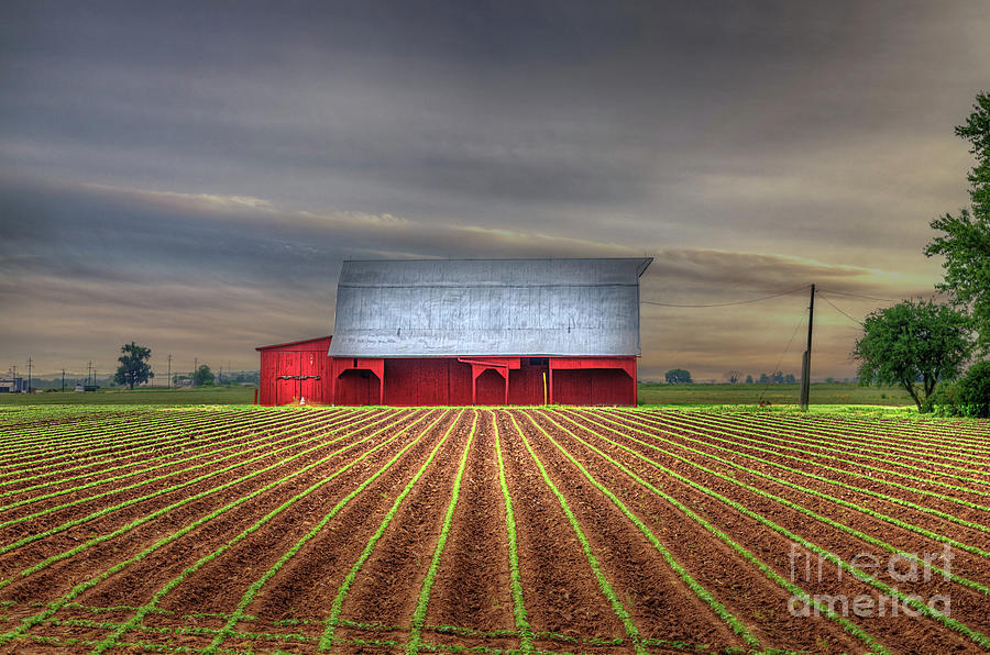 Farm Photograph - Red Barn in a Corn Field by Larry Braun Farm Photograph - Red Barn in a Corn Field by Larry Braun