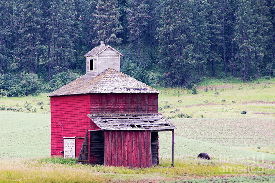 Red Barn in a Field Photograph by Daniel Ryan