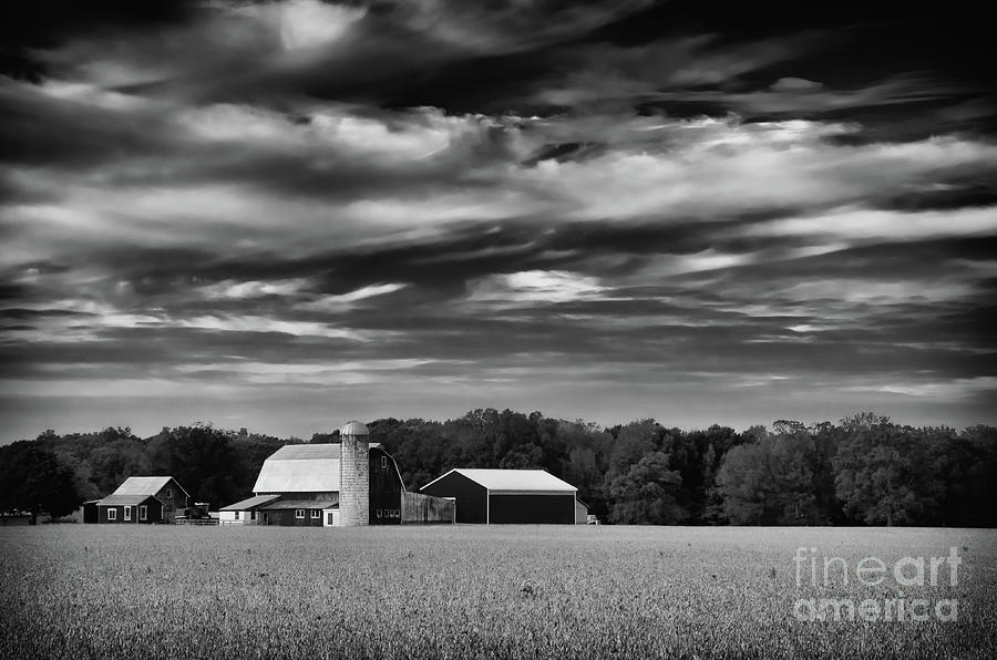 Red Barn in Golden Field Black and White Rural Landscape Photo Photograph by PIPA Fine Art - Simply Solid