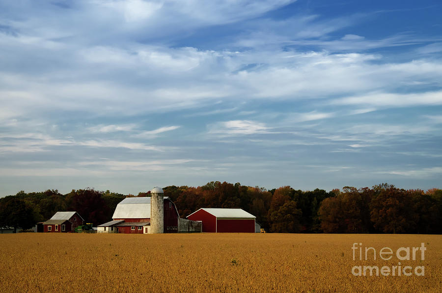 Red Barn in Golden Field Rural Landscape Photograph Photograph by PIPA Fine Art - Simply Solid