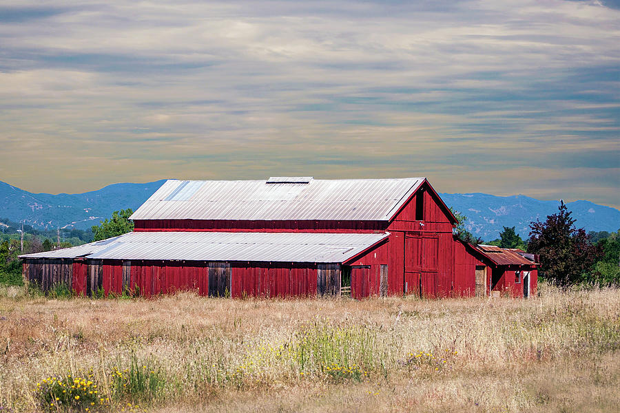 Red Barn In Lake County Photograph by William Havle