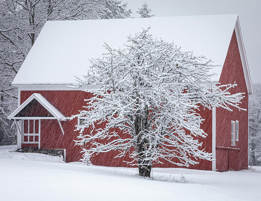 Red Barn in Snow Photograph by Colin Chase