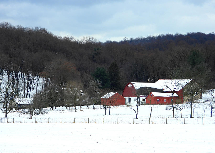 Red Barn In Snow Photograph by Living Color Photography Lorraine Lynch