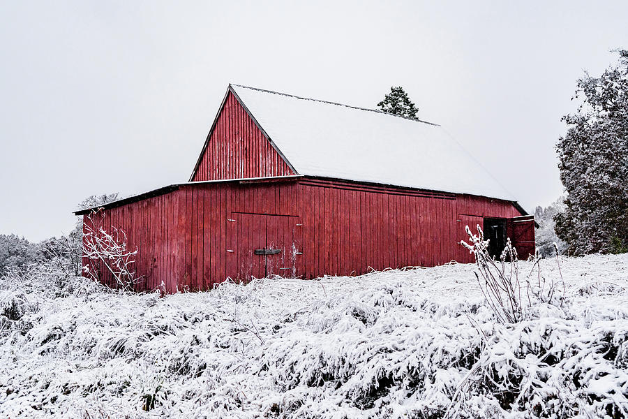 Red Barn in Snow Photograph by Sharon Popek