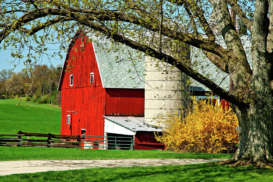 Red Barn in Spring Photograph by Jill Love