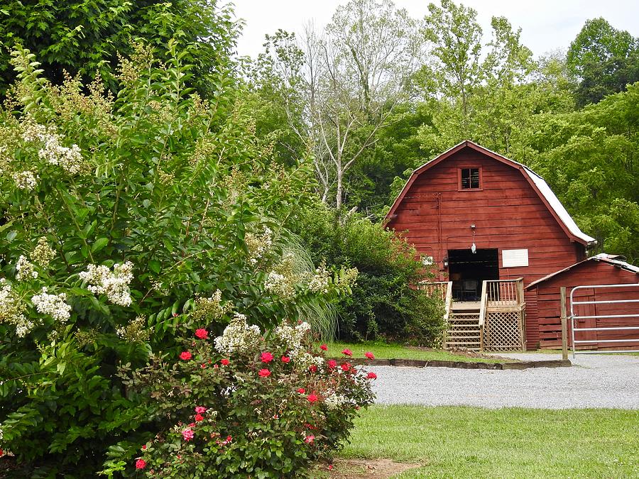 Red Barn In Summer Photograph by Kathy Chism