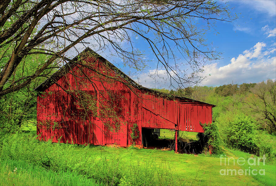 Red Barn in the Appalachians Photograph by Shelia Hunt
