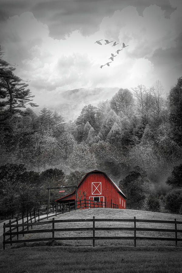 Red Barn in the Mist Black and White Photograph by Debra and Dave Vanderlaan