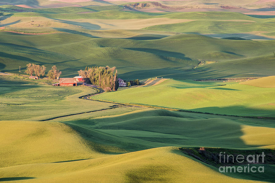 Red Barn in the Palouse Photograph by Daniel Ryan