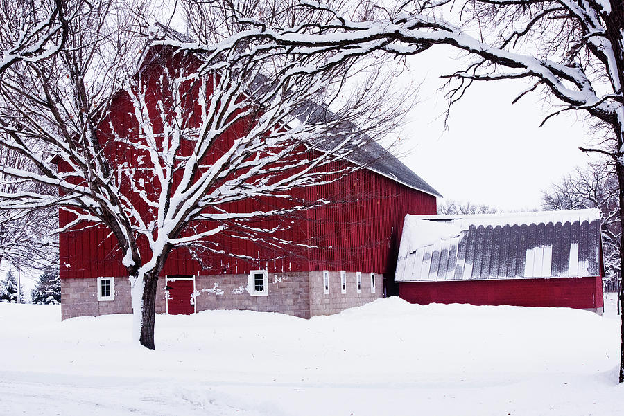 Red Barn in the Snow Photograph by David Lunde