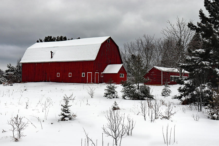 Red Barn in the Snow Photograph by David T Wilkinson