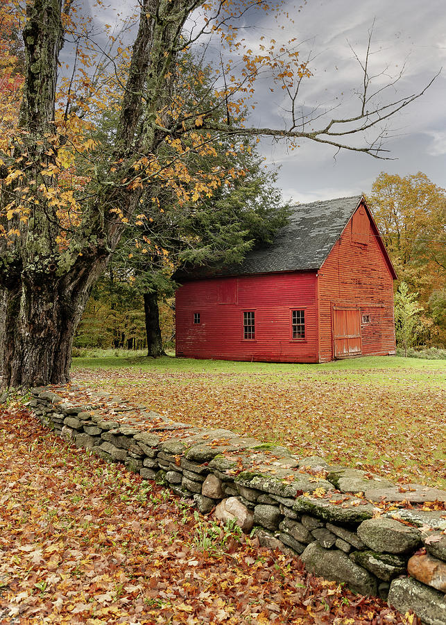 Fall in Vermont Photograph by Debbie Karnes