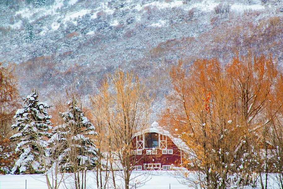 Landscapes Photograph - Red Barn in Winter by Terry Walsh