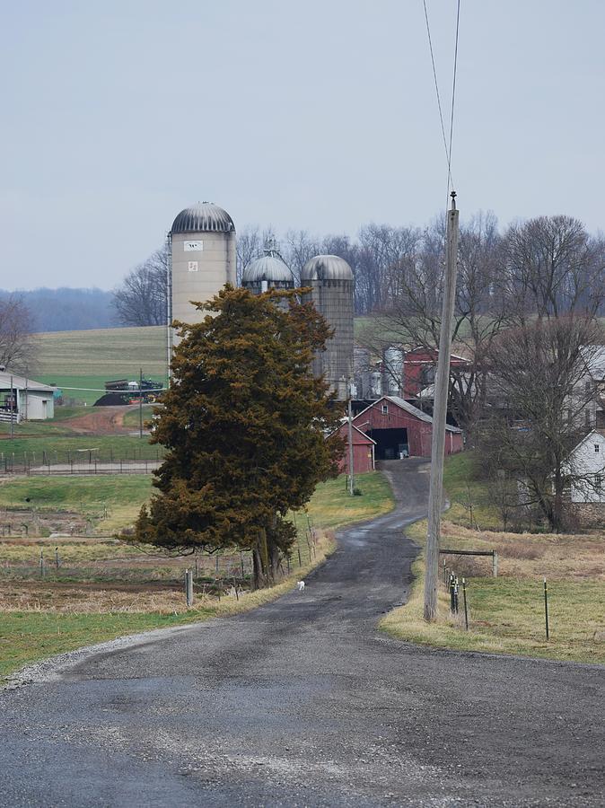 Red Barn Lane Photograph by Mary The Barber - Fine Art America