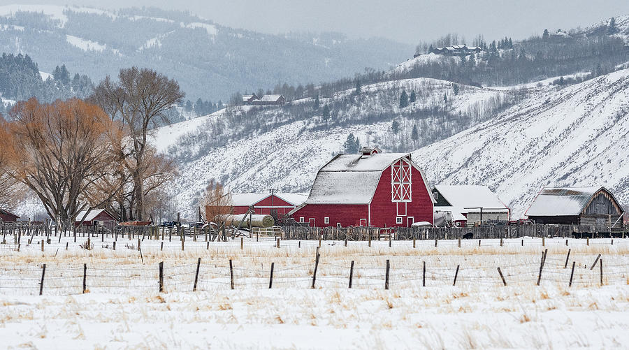 Red Barn of Jackson Hole Photograph by Marcy Wielfaert