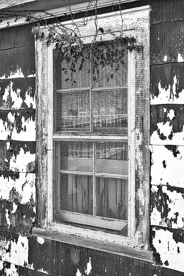 Red Barn Reflection BW Photograph by Susan Candelario