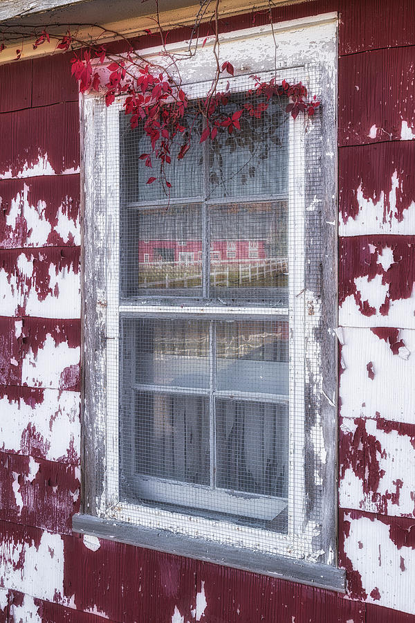 Red Barn Reflection Photograph by Susan Candelario
