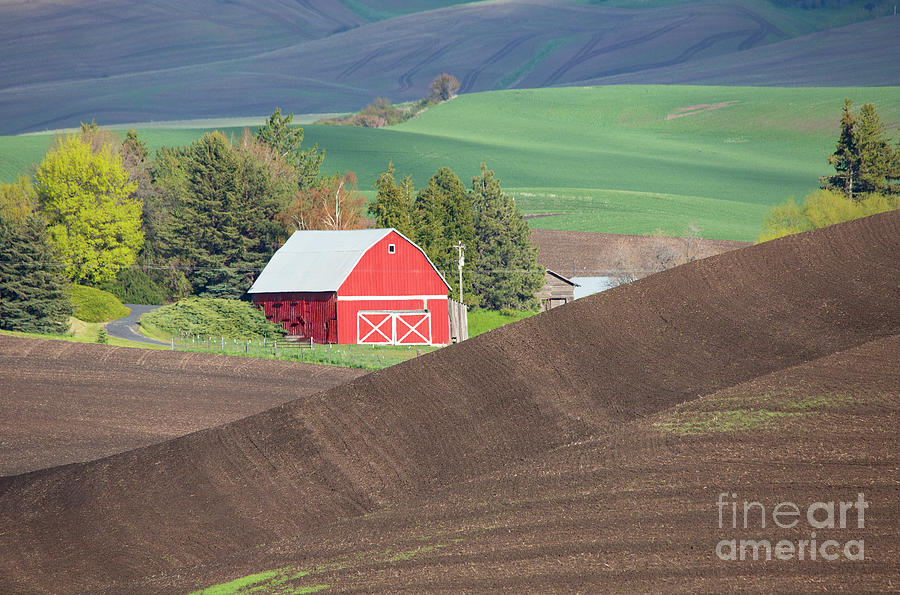 Red Barn Rolling Hills Photograph