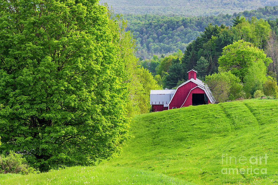 Red Barn Spring Landscape Photograph by Alan L Graham