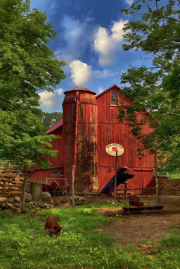 Red Barn Sunny Days - Maple Breeze Farm Photograph by Joann Vitali