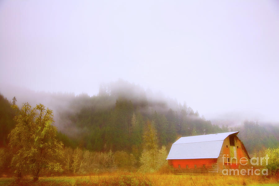 Red Barn Photograph by Timothy Johnson